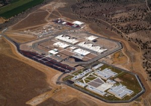 med_Deer-Ridge_91907