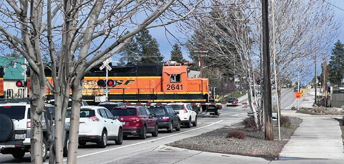 Reed Market Bridge Project Update