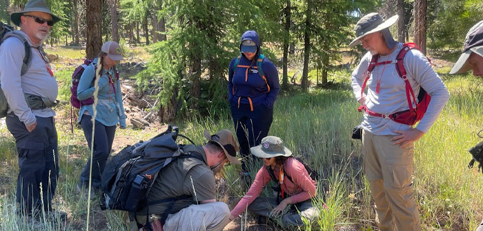 Think Wild & Cascadia Wild Partner to Expand Rare Carnivore Monitoring to Central Oregon